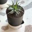 PHOTOS_CULTS_02.jpg Self Watering Planters