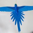 IMG_20240621_152547703.jpg Flying Macaw