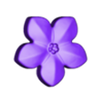 flower_m3_male_stl.stl Molde de flor Forget-me-Not - Molde artificial em EVA