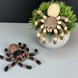 IMG_3777.jpg Flexi Spider (Articulated)