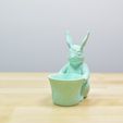 Easter Bunny Toy/Pot/Planter, filamentone
