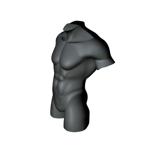 👨 Man Torso figure・ STL File for 3D printing・Cults