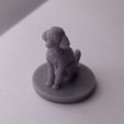 IMG_20230227_171228.jpg Poodle Miniature/Statue
