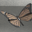 monarch-butterfly1.png Monarch butterfly