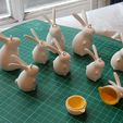 rabbit_dec_02.jpg Rabbit Decoration (treat holder)