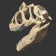 08.jpg Surophaganax fossilized skull