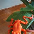 WhatsApp-Image-2024-02-10-at-06.44.36-1.jpeg Cute jointed frog