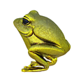 model-2.png Gold frog