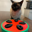 ZukoSiameseCatWithPuzzleCatToy.png Watermelon Treat Puzzle Interactive Cat Toy with Multiple Difficulty Levels
