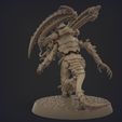 nids.1156.jpg ORIGINAL PLASTIC FREE LICTOR (2-4 poses)