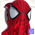 IMG_20211123_211000745_HDR-2.jpg STL file Faceshell Amazing Spiderman 2・3D printer model to download