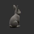 cults-3.jpg Realistic rabbit