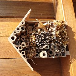 20200409_143330.jpg STL file Playful insect house・3D printer model to download