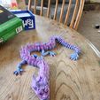 Flexi Print-in-Place Dragón Imperial