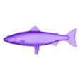 salmo salar .obj Atlantic salmon / salmo salar / losos obecný fish underwater statue detailed texture for 3d printing