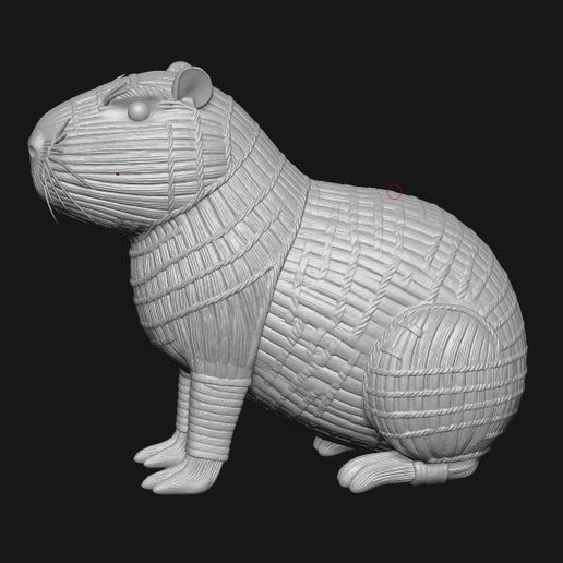 bandicam-2025-10-10-13-38-48-082.jpg Carpincho