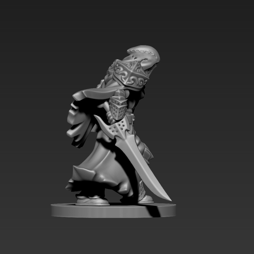 p5.png Paladin - Fighter Miniature