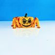 31.jpg Flexi Halloween Pumpkin Spider