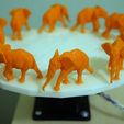 3dimka_walking_elephant_zoetrope.jpg Zoótropo 3D del Elefante Caminante