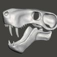 inostrancevia5.jpg Dinosaur skull, Inostrancevia cranium and jaw