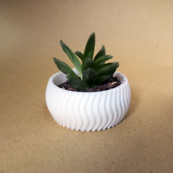 20200726_163217.png STL-Datei Cactus Planter 2 - small kostenlos・3D-Drucker-Design zum herunterladen