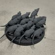 IMG_1558.jpg Free STL file Ravenous Rodent Swarms・Object to download and to 3D print