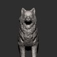 Alaskan-Malamute12.jpg 3D-Datei Alaskan Malamute 3D-Druck Modell・Modell für 3D-Drucker zum Herunterladen