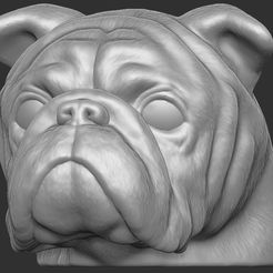 1.jpg STL-Datei Welpe der Englischen Bulldogge - Hundekopf für den 3D-Druck・3D-druckbares Design zum Herunterladen