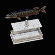 northern-pike-statue-box-1-2-1-18.png fish NORTHERN PIKE (ESOX LUCIUS) open mouth with storage space / for 3d printing