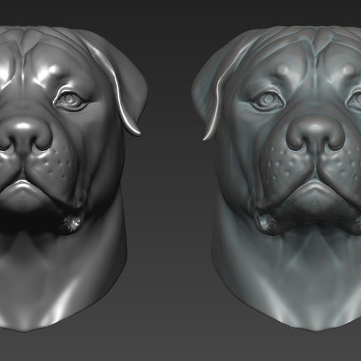 🎨 Rottweiler・ OBJ File for ・Cults