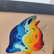 IMG20230702143901.jpg Caja de sombras de gato (A)