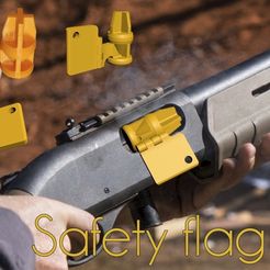 ScreenShot002.jpg Safety flag