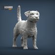 Jack-Russell-Terrier-1.jpg Jack Russell Terrier Longhair 3D print model