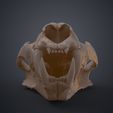 Tiger_Skull_Render_3Demon.644.jpg Tiger Skull (Panthera Tigris Tigris) realistic replica