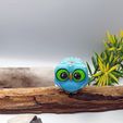 IMG_20230416_070431.jpg Cute cartoon owl`s with big eyes, family pack