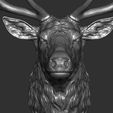 16.jpg Deer head