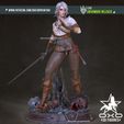 OXO3D_Ciri_SFW_03.jpg Цири из "Ведьмака