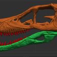 velociraptor-skull-3d-print-model-3d-model-8fab48eaf1.jpg Cráneo de velociraptor