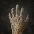 3.jpg Hand of Glory