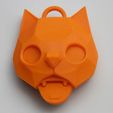 1000041880.jpg Keychain cat
