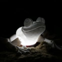 Niedlicher Flexi Print-in-Place Frosch