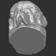 19.jpg Tibetan Mastiff dog head for 3D printing