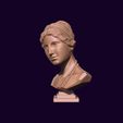20.jpg Bust of Aphrodite