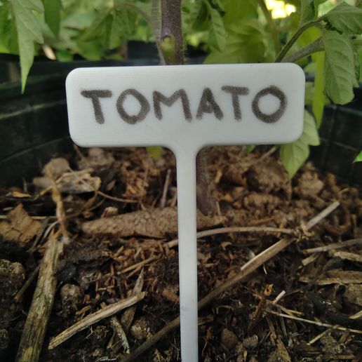 20220601_151840.jpg PLANT IDENTIFIER