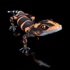 3320497906.jpg Japanese Cave Gecko-Goniurosaurus orientalis-STL with Full-Size Texture-High-Polygon 3D Model incl. Zbrush-Originals