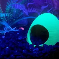 20180823_194858.jpg Archivo STL gratuito Casa del Pescado・Objeto para descargar e imprimir en 3D