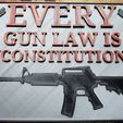 20201024_132028a.jpg Gun laws