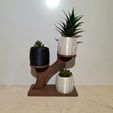 20230624_225528.jpg Owl planter with tree stand