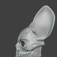 Screenshot-2025-08-09-182852.png Bat Skull Mask