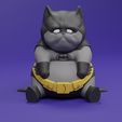 0001.jpg SAD AND LETHARGIC BATMAN CAT FIGURE FOR 3D PRINTING